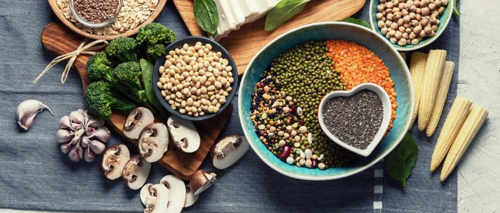 From Lab to Bowl: The Ai-Powered Future of Customized Pet Food