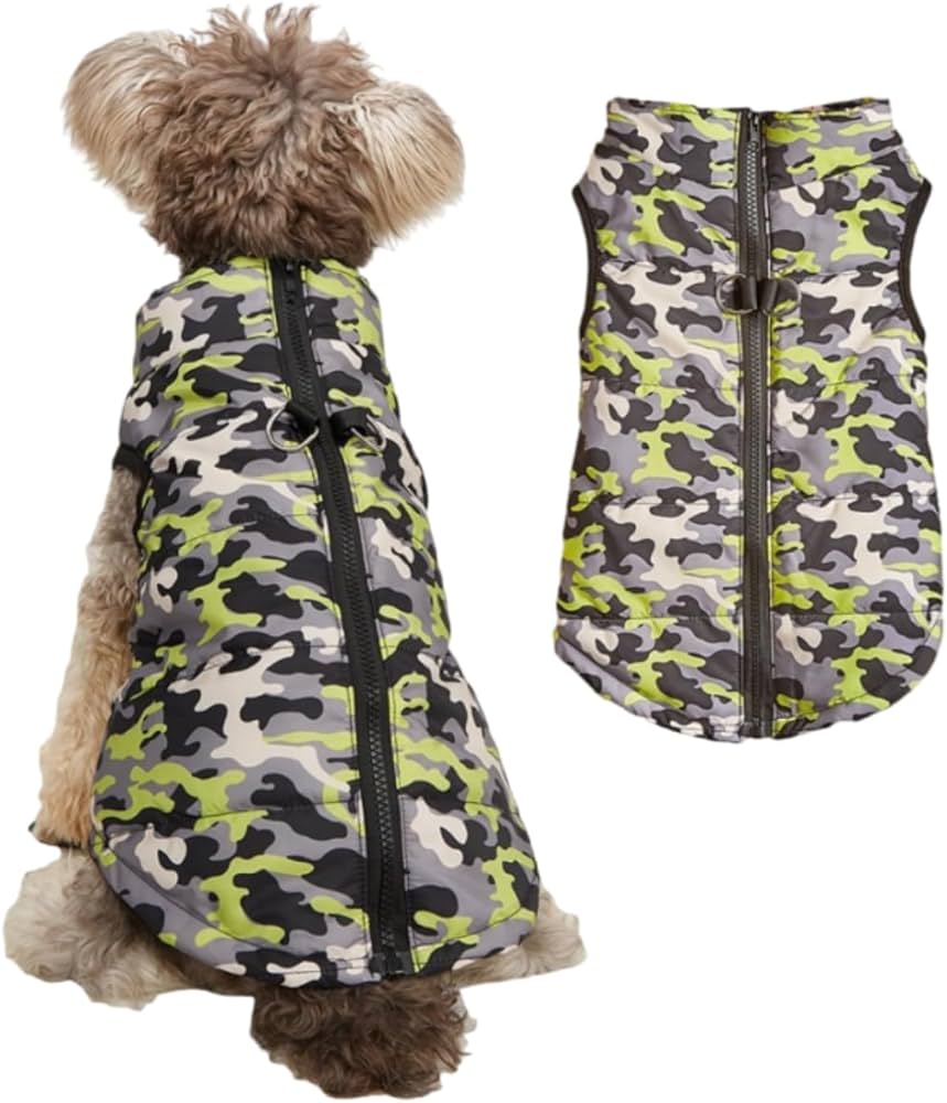 What is Pet Fashion: Trendy Styles for Your Furry Friends