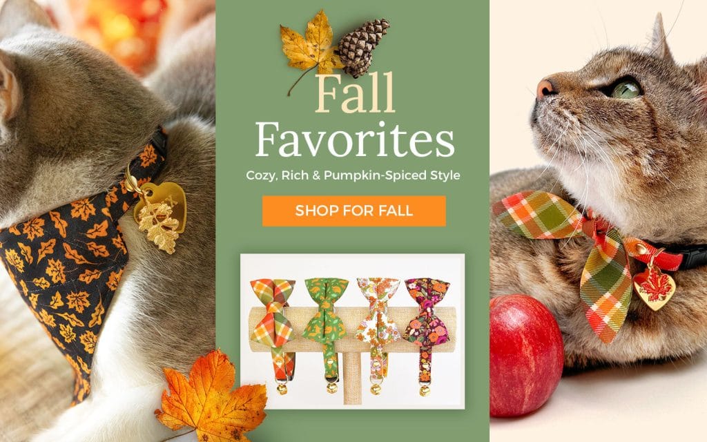 Cat Bow Ties: Stylish Accessories for Your Feline Friend