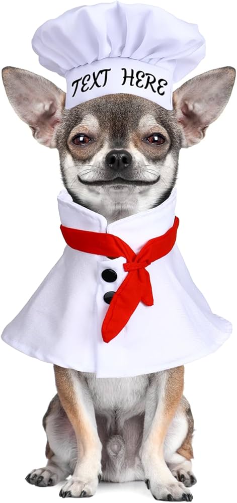 Personalized Pet Costumes