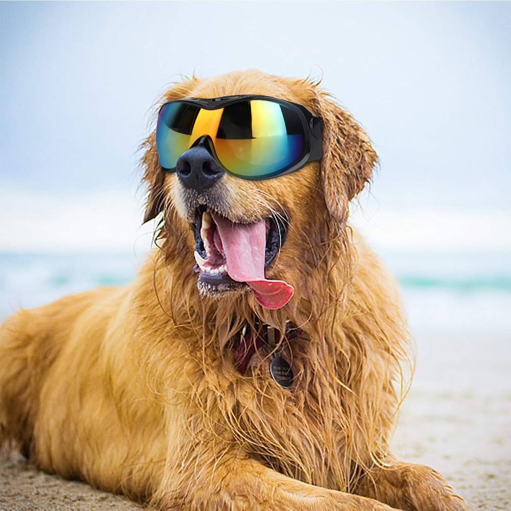 Pet Sunglasses