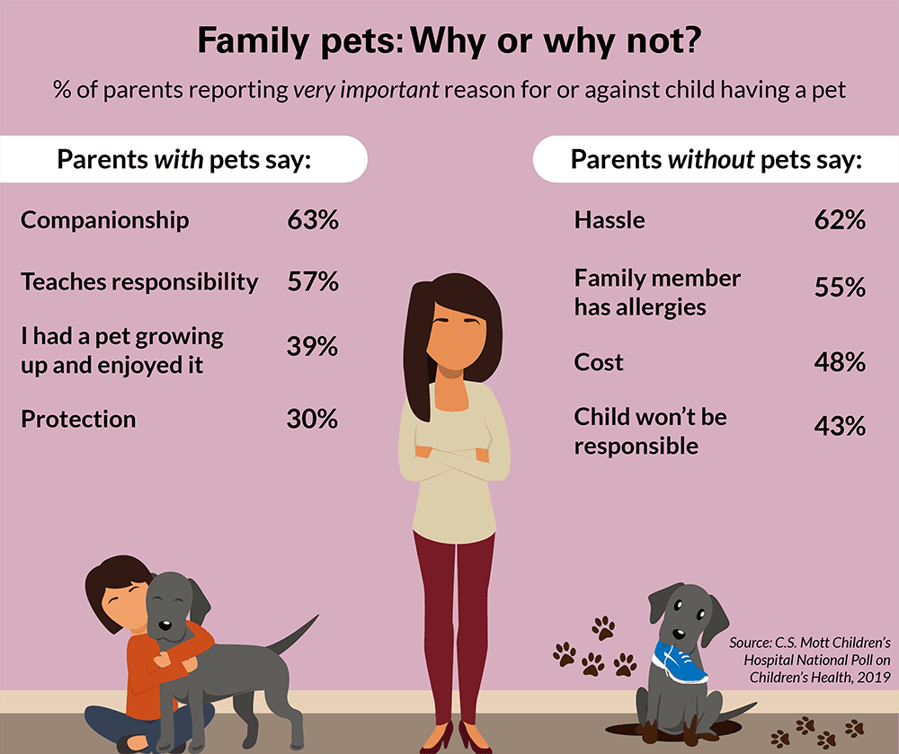 Should Animals Be Kept As Pets Pros And Cons