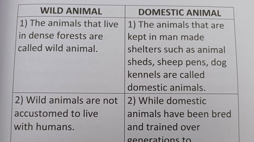 What is the Difference between Pet Animals And Domestic Animals