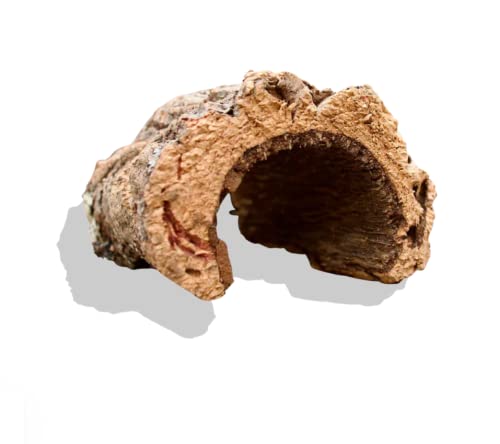 Best Reptile & Amphibian Supplies