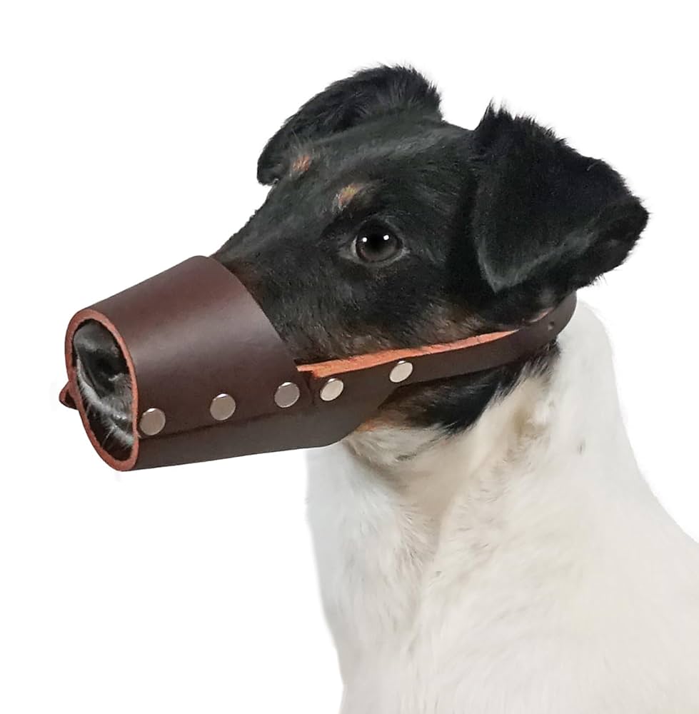 Pet Muzzles: Ensuring Safety and Comfort